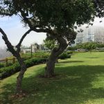 Park in lima Peru