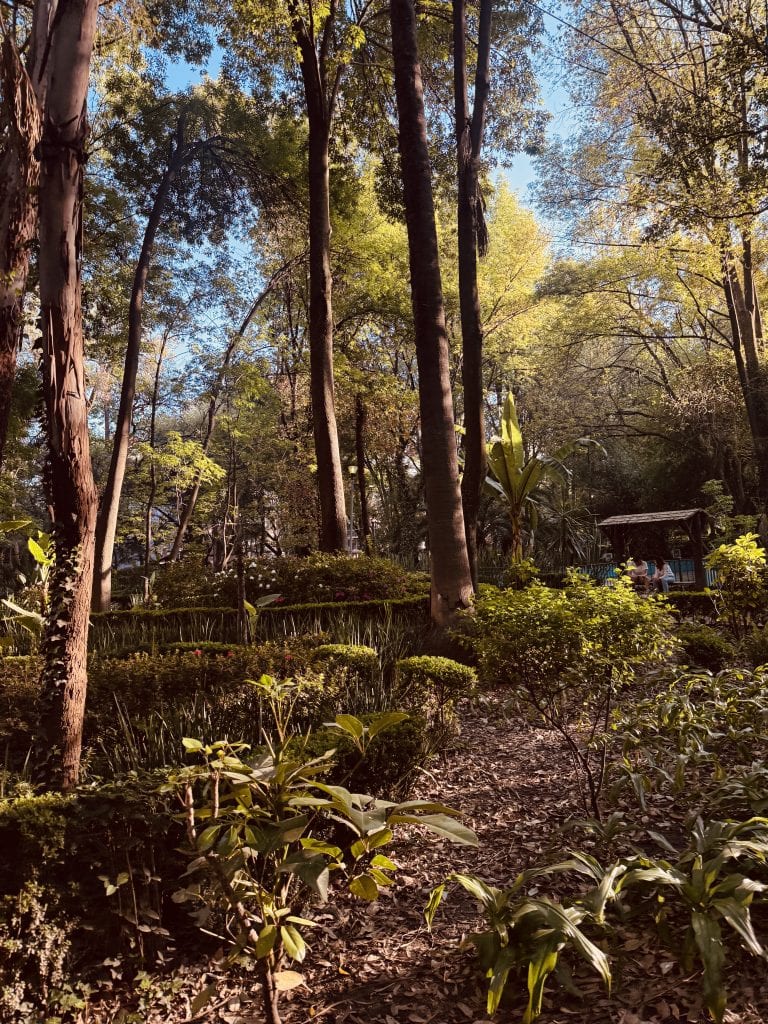 Parque Mexico landscape